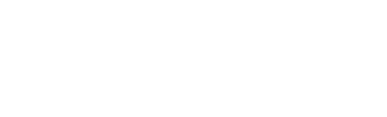 Avis logo in white